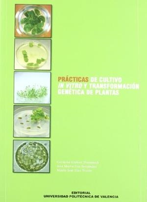 PRÁCTICAS DE CULTIVO IN VITRO Y TRANSFORMACIÓN GENÉTICA DE PLANTAS | 9788483633076 | DÍEZ NICLOS, MARÍA JOSÉ / GISBERT DOMÉNECH, CARMINA / FITA FERNÁNDEZ, ANA MARÍA