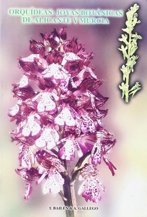 ORQUÍDEAS : JOYAS BOTÁNICAS DE ALICANTE Y MURCIA | 9788484544210 | BAILEN, MARIA TERESA / GALLEGO, ANTONIO
