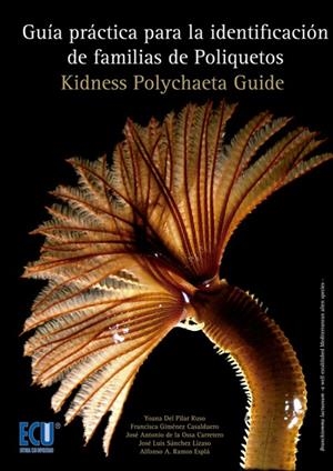 GUÍA PRÁCTICA PARA LA IDENTIFICACIÓN DE FAMILIAS DE POLIQUETOS | 9788415787990 | DEL PILAR RUSO, YOANA / DE LA OSSA CARRETERO, JOSÉ ANTONIO / GIMÉNEZ CASALDUERO, MARÍA FRANCISCA / R