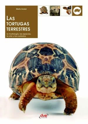 TORTUGAS TERRESTRES, LAS | 9781644610176 | AVANZI, MARTA