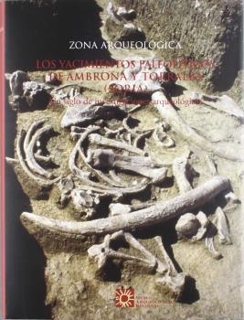 ZONA ARQ-5- YACIMIENTOS DE AMBRON | 9788445127896