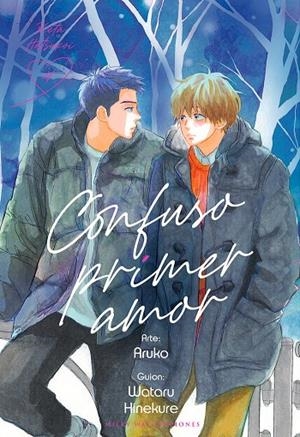 CONFUSO PRIMER AMOR 04 | 9788419195739 | ARUKO / HINEKURE, WATARU