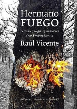 HERMANO FUEGO | 9788412434521 | VICENTE, RAÚL