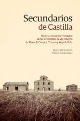 SECUNDARIOS DE CASTILLA | 9788412395020 | MARTIN VERONA, IGNACIO / ROMAN IBAÑEZ, WIFREDO