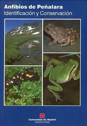 ANFIBIOS DE PEÑALARA | 9788445128008 | D. G. PROMOCION Y DISCIPLINA AMBIENTAL
