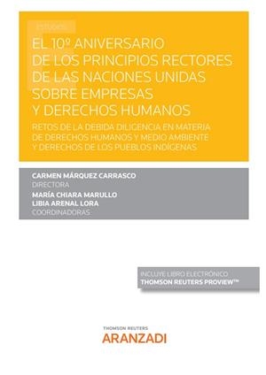 10 ANIVERSARIO DE LOS PRINCIPIOS RECTORES DE LAS NACIONES UNIDAS SOBRE EMPRESAS Y DERECHOS HUMANOS | 9788413917962 | MARQUEZ CARRASCO, CARMEN