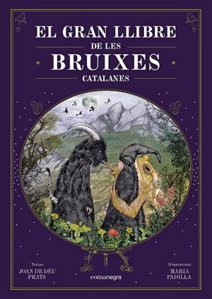 GRAN LLIBRE DE LES BRUIXES CATALANES, EL | 9788418857751 | PRATS, JOAN DE DÉU