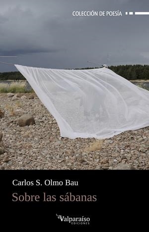 SOBRE LAS SÁBANAS | 9788419347114 | OLMO BAU, CARLOS