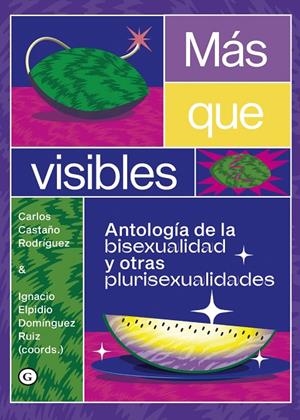 MÁS QUE VISIBLES | 9788418501661 | CASTAÑO RODRIGUEZ, CARLOS / DOMINGUEZ RUIZ, IGNACIO ELPIDIO