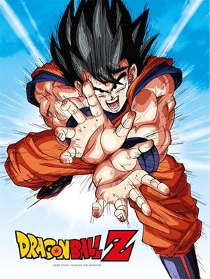 POSTER DE VIDRIO GOKU KAME DRAGON BALL Z 30X40 CM | 8435450249969