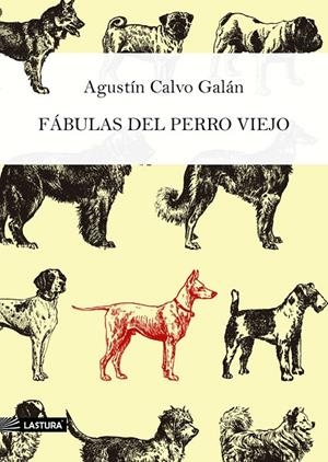 FÁBULAS DEL PERRO VIEJO | 9788412550764 | CALVO GALÁN, AGUSTÍN