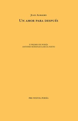 AMOR PARA DESPUÉS, UN | 9788418935824 | ALMAGRO, JUAN