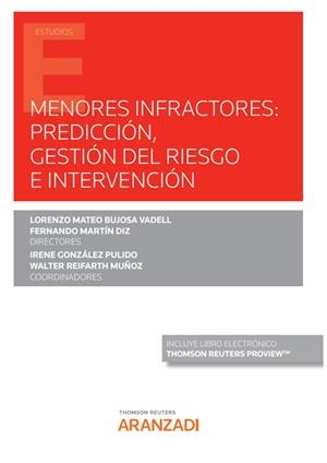 MENORES INFRACTORES PREDICCIÓN GESTION DEL RIESGO E INTERVENCIÓN (DUO) | 9788413908625 | MARTIN DIZ, FERNANDO