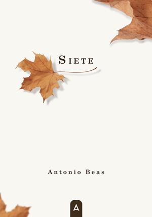 SIETE | 9788419285027 | OLMO BEAS, ANTONIO