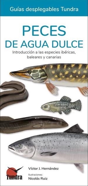 PECES DE AGUA DULCE - GUIAS DESPLEGABLES TUNDRA | 9788418458521 | HERNANDEZ, VICTOR J.