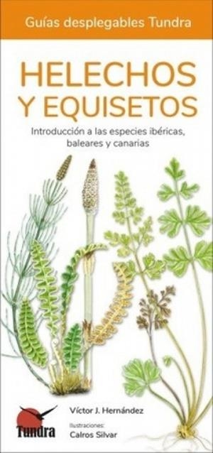 HELECHOS, EQUISETOS Y LICOPODIOS - GUIAS DESPLEGABLES TUNDRA | 9788418458552 | HERNANDEZ, VICTOR J.