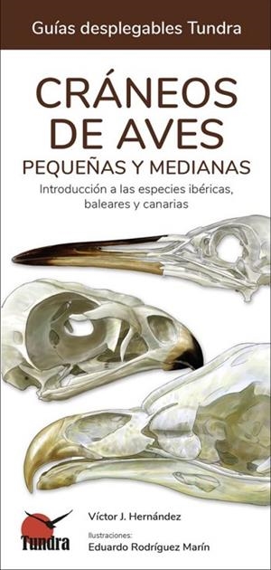CRANEOS DE AVES PEQUEÑAS Y MEDIANAS - GUIAS DESPLEGABLES TUNDRA | 9788418458996 | HERNANDEZ, VICTOR J.