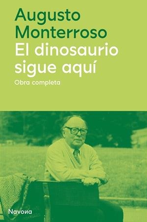 DINOSAURIO SIGUE AQUÍ, EL | 9788419311177 | MONTERROSO, AUGUSTO