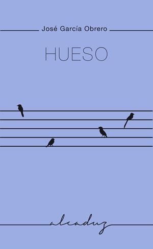 HUESO | 9788412580815 | OBRERO, JOSÉ GARCÍA