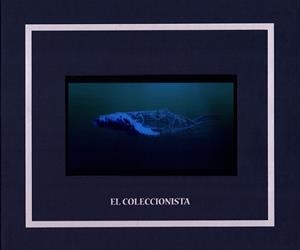 COLECCIONISTA, EL | 9788494828096 | BEYRO, SEBAS