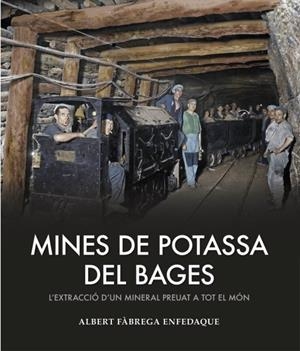 MINES DE POTASSA DEL BAGES | 9788419239358 | FÀBREGA ENFEDAQUE, ALBERT