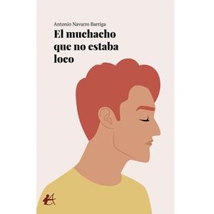 MUCHACHO QUE NO ESTABA LOCO, EL | 9788419439864 | NAVARRO BARRIGA, ANTONIO