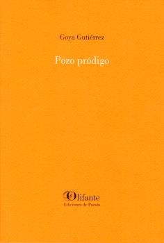 POZO PRÓDIGO | 9788412556636 | GUTIÉRREZ, GOYA