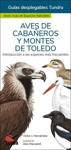AVES DE CABAÑEROS Y MONTES DE TOLEDO - GUIAS DESPLEGABLES TUNDRA | 9788418458958 | HERNANDEZ, VICTOR J.