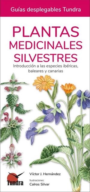 PLANTAS MEDICINALES SILVESTRES | 9788418458538 | HERNANDEZ, VICTOR J.