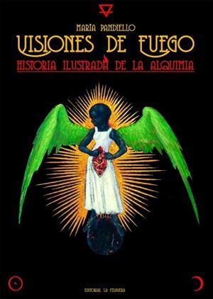 VISIONES DE FUEGO | 9788412466973 | PANDIELLO, MARIA