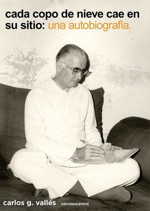 CADA COPO DE NIEVE CAE EN SU SITIO | 9788419136619 | GONZALEZ VALLES, CARLOS