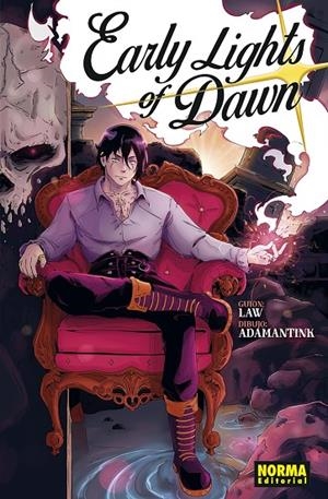 EARLY LIGHTS OF DAWN | 9788467947960 | LAW / ADAMANTINK