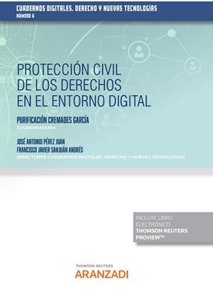 PROTECCION CIVIL DE LOS DERECHOS EN EL ENTORNO DIGITAL | 9788411254854 | SANJUAN ANDRES, FRANCISCO JAVIER