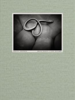 REGISTRO PENDIENTE | 9788445139967 | ROSELLÓ MENASANCH, MÓNICA