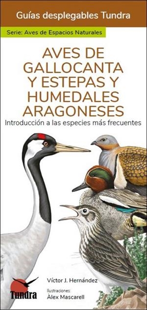 AVES DE GALLOCANTA Y ESTEPAS Y HUMEDALES ARAGONESES | 9788419624017 | HERNÁNDEZ, VICTOR J.