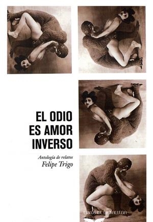 ODIO ES AMOR INVERSO, EL | 9788483444627 | TRIGO, FELIPE
