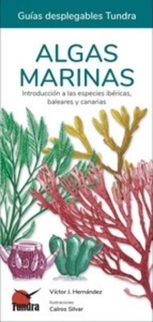 ALGAS MARINAS. INTRODUCCIÓN A ESPECIES IBERICAS BALEARES Y CANARIAS | 9788418458545