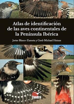 ATLAS DE IDENTIFICACIÓN DE LAS AVES CONTINENTALES DE LA PENINSULA IBERICA | 9788419624024 | BLASCO-ZUMETA, JAVIER / HEINZE, GERD-MICHAEL