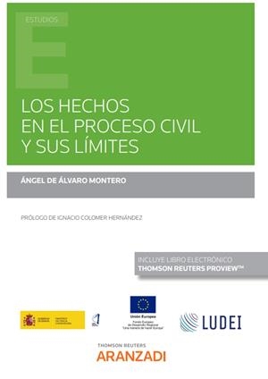 HECHOS EN EL PROCESO CIVIL Y SUS LIMITES | 9788411246903 | DE ALVARO MONTERO, ÁNGEL