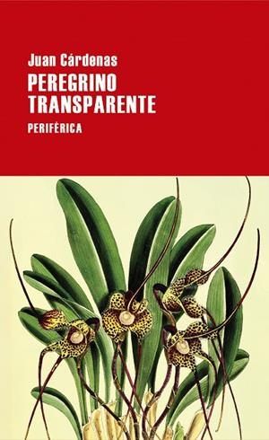 PEREGRINO TRANSPARENTE | 9788418838620 | CARDENAS, JUAN