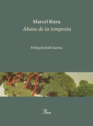 ABANS DE LA TEMPESTA | 9788475889900 | RIERA, MARCEL