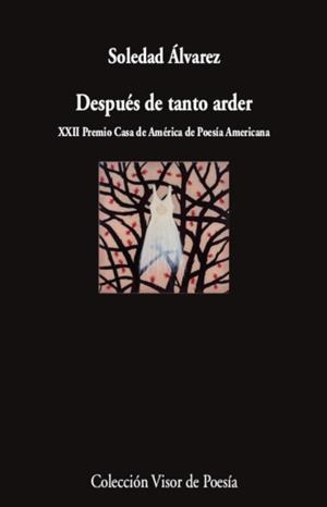 DESPUÉS DE TANTO ARDER | 9788498954784 | ÁLVAREZ, SOLEDAD