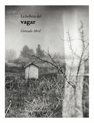 BELLEZA DEL VAGAR, LA | 9788419453327 | ABRIL, GONZALO