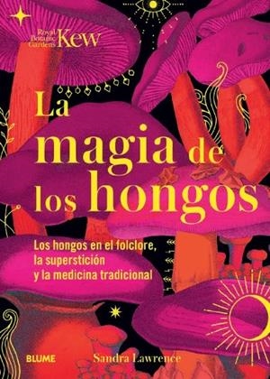 MAGIA DE LOS HONGOS | 9788419094834 | LAWRENCE, SANDRA / ROYAL BOTANIC GARDENS