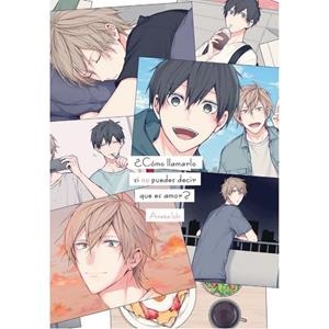 ¿COMO LLAMARLO SI NO PUEDES DECIR QUE ES AMOR?  | 9788419610133 | ICHI, ARATA