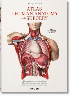BOURGERY. ATLAS OF HUMAN ANATOMY AND SURGERY | 9783836568982 | MINOR, JEAN-MARIE LE / SICK, HENRI