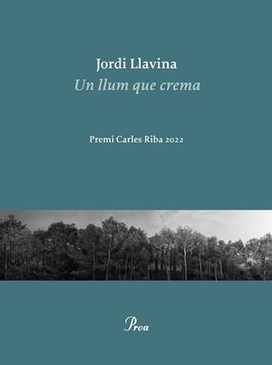 LLUM QUE CREMA, UN | 9788475889979 | LLAVINA, JORDI