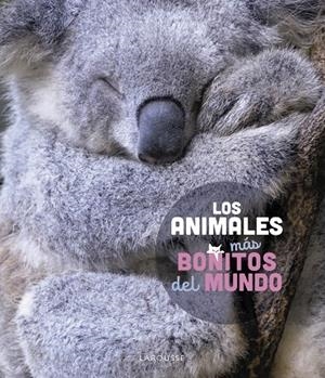 ANIMALES MÁS BONITOS DEL MUNDO, LOS | 9788419436177 | LEDU, STÉPHANIE