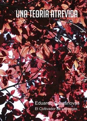TEORÍA ATREVIDA, UNA | 9788416681679 | CASASNOVAS SUSANNA, EDUARDO