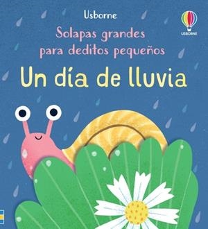 DIA DE LLUVIA, UN | 9781805311454 | CARTWRIGHT, MARY